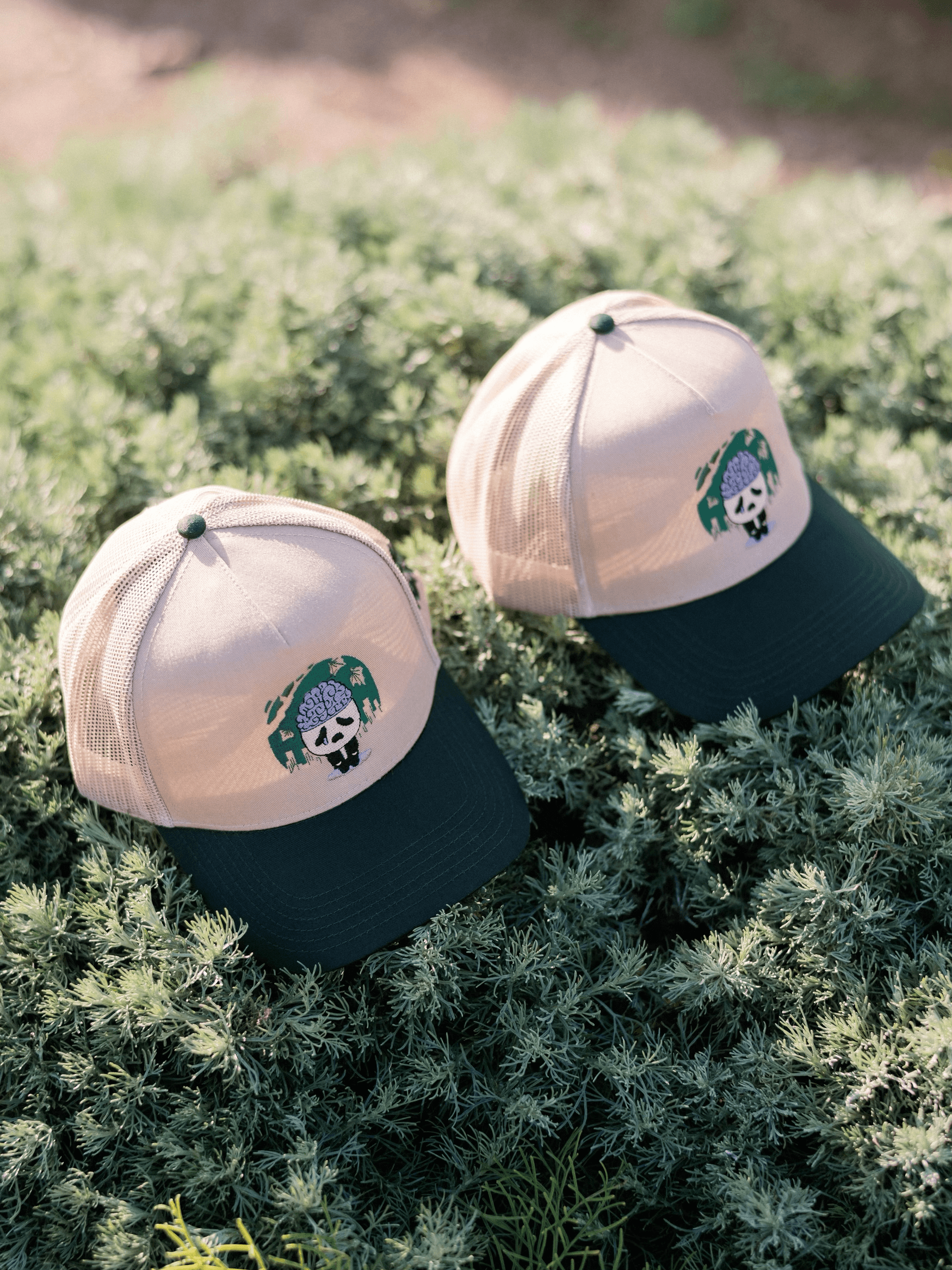 Distorted Reality Print